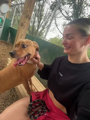 Had the best day getting to hang out with Lentil, Wheels and Disco.. all adoptable through MACC in Nashville, TN 🥹#dogtok #fosterdog #adoptdontshop #shelterdog #Tennessee #adopt #rescuedog 