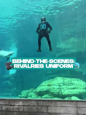 Come behind the scenes with us at the @Clearwater Marine AQ 🌊 #nfl #Rivalries #uniforms #aquarium 