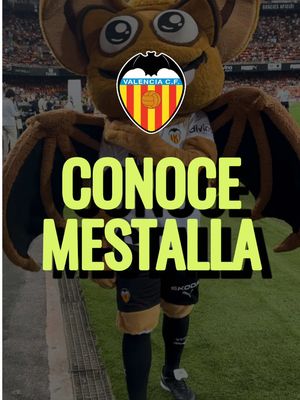 🏟️ Calificando Mestalla - la casa del Valencia CF y el estadio más antiguo de La Liga española de fútbol.  Pude vivir la experiencia VIP en uno de los mejores ambientes del fútbol. . . . @Valencia CF #futbol #valenciacf #mestalla #estadio #calificandoestadios 
