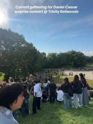 @DanielCaesar Crow is getting bigger by the minute! No idea where he’s popping up but this is the current situation  #danielcaesar #toronto #trinitybellwoods #trinitybellwoodspark #popupconcert 