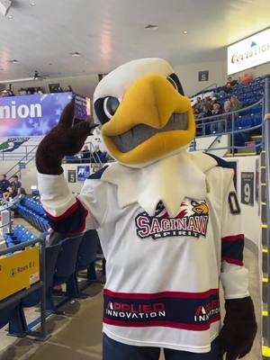 ✌️🦅#hockey #saginawspirit #michigan #saginaw 