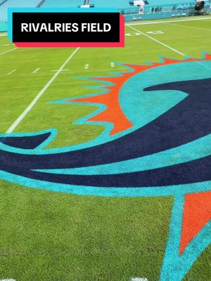 The pitch blue is here 😎🎨 #field #fieldpainting #asmr #rivalries #nfl@