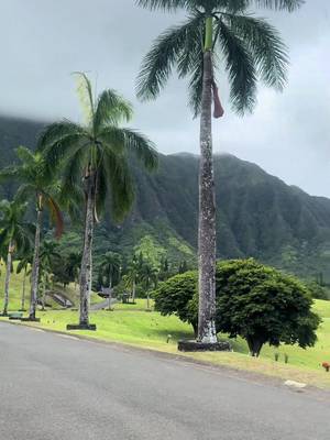 #hawaiitiktok #hawaii #kudrat #peaceful #naturevibes 