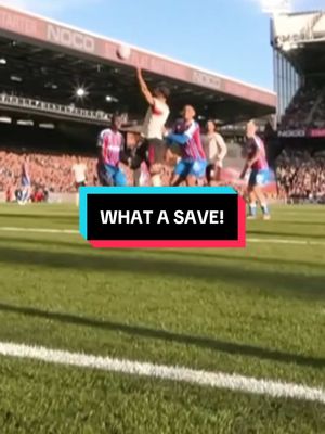 All hands on deck 👍 #CPFC #CrystalPalace #PremierLeague #PL 