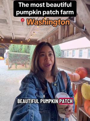 Personally, I think Gordon Skagit Farms is one of the most beautiful pumpkin patch farms I’ve ever visited. Gordon Skagit Farms in Mount Vernon is located about 1 hour and 10 minutes (depending on traffic) North of Seattle.  📍 15598 McLean Rd, Mount Vernon, WA 98273 Have you visited a pumpkin patch this fall season? #pumpkinpatch #pumpkinfarm #pumpkins #pnwlife #autumnaesthetic 