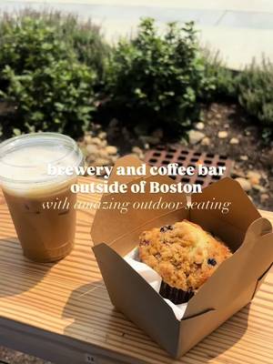 Mighty Squirrel Watertown has coffee and so much space to sit!! 