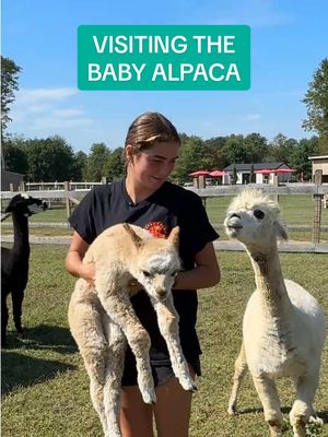 Welcome baby Cotton to the farm 🥹