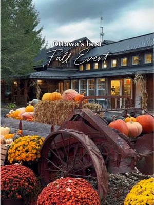 The best fall event in Ottawa 👻🍂🎃 Cider, wood fire pizza, spooky haunts, and a fall market — what more could you want? 🧡 📍 @Saunders Farm  #fallinontario #ottawafall #ottawa #fallfestivities #frightnight 