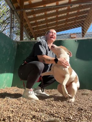 Another off day means filling my cup up by hanging out with some shelter dogs in need of loving homes!💙🥹 Sylvia is 4 years old, she’s an ANGEL on a leash, she knows sit, loves to play, and loves cuddles.  Copper..😭 this man is 11 years old and deserves to be cuddled up next to his person for the remainder of his years 🫶🏼🫶🏼 All dogs are available through MACC in Nashville TN 🫶🏼 #dogtok #adoptdontshop #shelterdog #fosterdog #adopt #Tennessee 