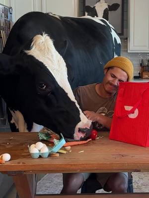 Trying to order groceries for the week with Bruce and @DoorDash #DoorDashPartner #DoorDashGroceries #cow #brucethecow #farm 