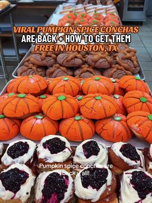 THE ORIGINAL VIRAL PUMPKIN SPICE CONCHAS ARE BACK + HOW TO GET THEM FREE 🎃 One of our favorite panaderías, @La Hacienda Bakery, is bringing back Pumpkin Spice Conchas starting tomorrow, October 1! 👏 These adorable, festive conchas went viral last year—and trust us, they SURPASS the hype. To celebrate, they’re giving away 75 FREE conchas to the first 75 people in line on October 1 starting at 7am! 🙌 And that’s not all—this year they’re rolling out even more seasonal treats: Pumpkin Spice Enamorados, Caramel Concha Muertas, Pumpkin Spice Cinnamon Rolls, and Cream Cheese Concha Muertas. 🦴 We left with a full box and zero regrets! P.S. Get their NEW Pumpkin Spice Atole to dunk your concha in! 🍁 #pumpkinspice #conchas #houstonfood #htx #houston 