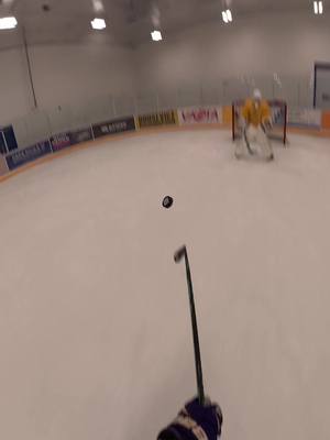 The future hahaha #hockey #swaggyp #zoro #pov  #dji 