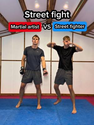 Martial artist vs street fighter