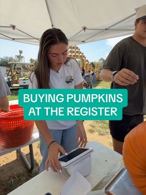 Paint the tiny pumpkin, and carve the big one 🤝