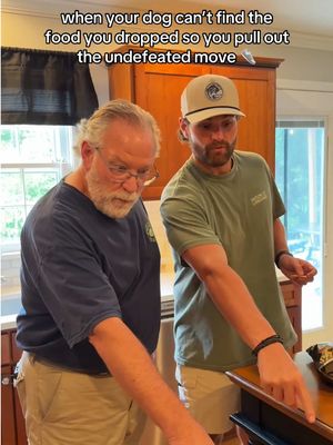 the toe tap never fails 💪 #dad #dan #dogs #dogsoftiktok 