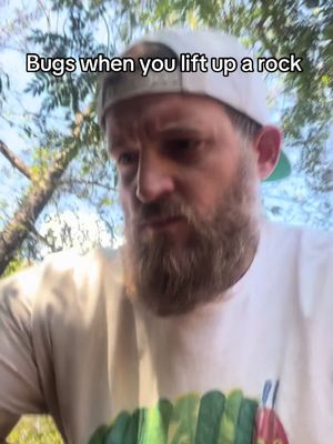They vibin tho #bugs #meme #fypシ #trending 