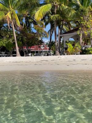 One of the best weeks of my life, Utila stole my heart🫀🇭🇳  •This is actually one of the cheapest places you can go to get certified🤿 #scubadiving #utila #fypシ 