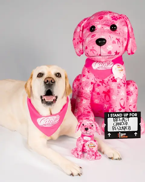 In honor of #BreastCancerAwarenessMonth, we're teaming up with @Stand Up To Cancer! When you purchase a limited-edition breast cancer awareness plush puppy in restaurant or online at raisingcanesgear.com between Oct. 1 to Oct. 31, 2025, Raising Cane’s will donate a minimum of $3 per purchase to #StandUpToCancer, with a minimum guaranteed donation of $500,000. Valid while supplies last. ☝️🩷