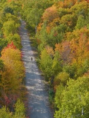 We love summer but...we have an itch 🍂 --- Nous adorons l'été, mais...nous avons des démangeaisons🍂