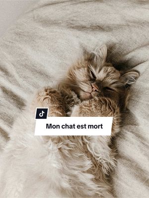 Mon chat, mon ami: aurevoir je t’aime