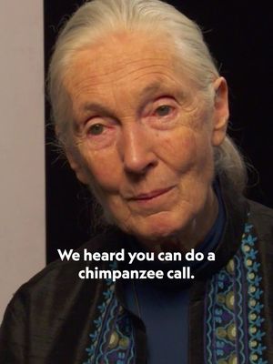 From the NatGeo archives: Jane Goodall demonstrates her world-famous chimp call.