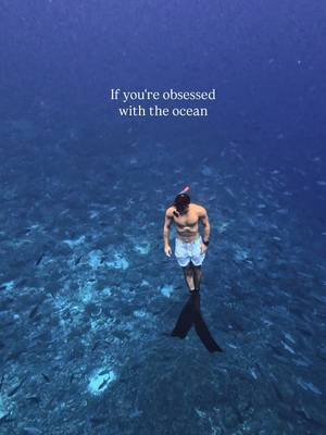 Every decision we make matters: saving water and energy, supporting eco-friendly tourism, and joining conservation projects, reducing/reusing/ recycling plastics, avoiding fast fashion, choosing reef-safe sunscreen, eliminating commercially processed seafood, etc. For more ocean content, follow me on Instagram- oceanwithadam.