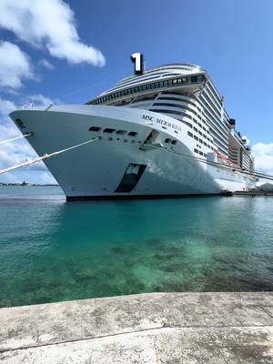 These 10 cruise ship facts are WILD 😳 #cruiseship #fyp #ship_facts 