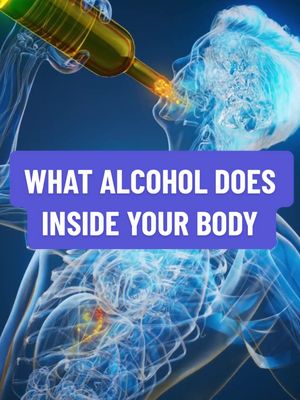 What alcohol does inside your body #Cheers #feelbetter #body #Science #tiktokshopfalldealsforyou 