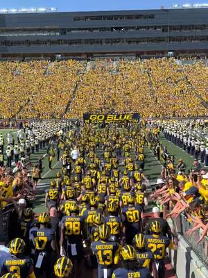 Charging into a sea of maize 🟡