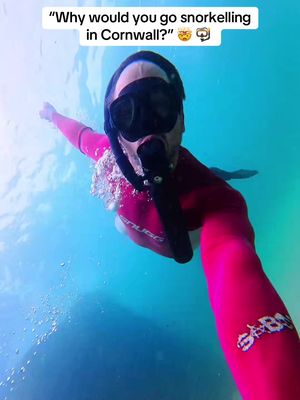 Snorkelling in Cornwall 😍 🦭 #cornwall #snorkelling #cornwalluk #cornwalltiktok #cornwalllife 