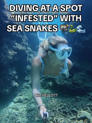 Would you still dive here if someone said this spot was “infested” with sea snakes? 🐍🙄  #okinawa #japan #freediving #oceangirl #oceanlife 