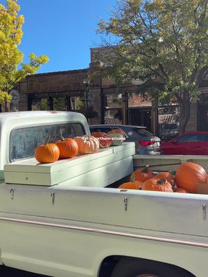 in my opinion the BEST time to go up north in arizona is October 🎃 #fall #az #flagstaff #sedona 
