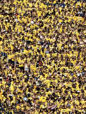 Did somebody say maize (out)? 🟡