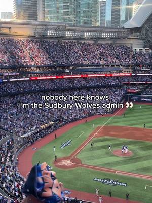 if only they knew #bluejays  @Toronto Blue Jays 