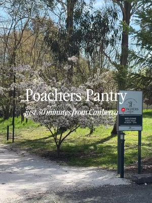 My love of the Murrumbateman region continues with a spot I’ve been visiting since I was a child.  #PoachersPantry is just 30 minutes from Canberra and has delicious, fresh food. It’s perfect for an upscale catch up or a celebration with family. This time of the year is the perfect time to visit!!  #canberra #murrumbateman #canberrafood #restaurant 