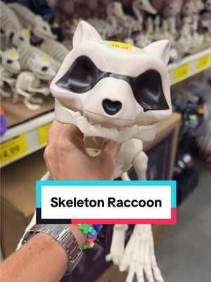 RUN to @TractorSupply !! 🦝🦝 This cutie is only $14.99 and he’s a must-have!! #raccoon #raccoonsoftiktok #raccoons #halloween #halloweendecor 