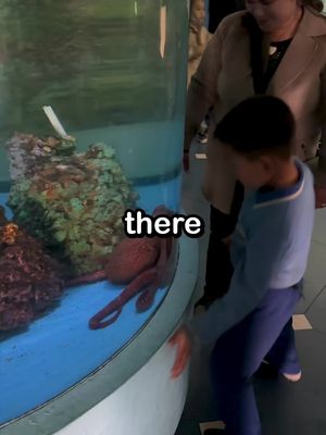 5 things that blew my mind in Pyongyang #northkorea #dprk #kimjongun #russia #china 