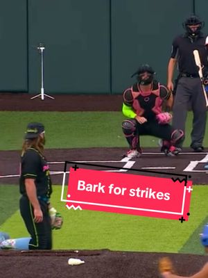 “Come on Blue! Woof.”  #barklikeyouwantit #woof #umpire #pitchers #relatable 
