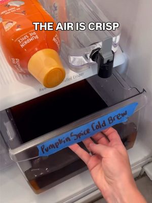 THIS is my love language (and a full Brita) 🙂‍↕️ #bwita #fyp #unhinged #pumpkinspice 