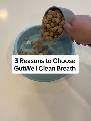 3 Reasons GutWell Clean Breath should be your dogs go-to dental supplement: 👉 Formulated by our in house board certified vet nutritionist, the leading expert in dog nutrition.  👉 clinically shown to improve bad breath.  👉 addresses the root cause of bad breath: the gut.  #doghealth #dogsupplements #dognutrition 
