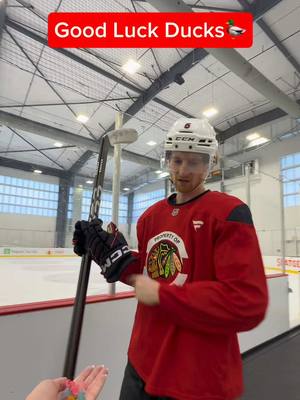 good vibes only 🦆 #blackhawks #duck #NHL #connorbedard #goodluckduck 