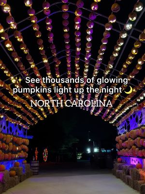 🎃✨ Pumpkins after dark!!! I went last week and was completely blown away!!!  💫It's such a magical + immersive experience!!! You’ll walk through themed trails with music, lights & spooky scenes!!! Also, Every figure you see is actually made from carved pumpkins and it’s So cool to see!! 🎃 The artists build them up then carve intricate glowing designs in them.  Plus, there’s food trucks, live pumpkin carvings, live entertainment & sooo many cute photo ops This is seriously a Halloween event for the whole fam!!!  You don't want to miss it!! Location: Wet 'n Wild Emerald Pointe 3910 S Holden Rd, Greensboro, NC When: Oct 2 - 31 (last entry 10 pm, event closes 11 pm) Tickets: + Kids 3 & under = FREE + Youth (4-17) from ~$20 # Adults from ~$28 - Discounts on weekdays & "Thriller Thursdays" Yes, it's wheelchair accessible! (paved + some gravel paths) 🚗 About an hour from Raleigh — totally worth the drive!! Send this to who you're going with and follow me @raleighwanderlust for more fun hidden gems!!!  #pumpkinsafterdark #greensboro #nc #spookyseason #halloweenevents 