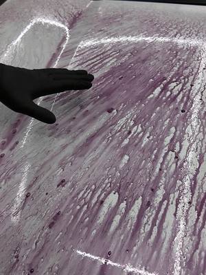 Just like your skin care, your car’s paint has unique needs. Enter Iron Remover. 🙂‍↔️ #2in1 #ironremover #decontamination 
