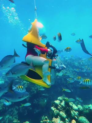 Send this to your adventure buddy! 🐠😍 🤿 Did you know you can explore the vibrant reefs of Roatán on your very own underwater scooter? With BOSS Roatán, you glide beneath the Caribbean waves surrounded by colorful coral, tropical fish, and other fascinating sea life! 🐢💙 🪸 This experience was unforgettable! Cruising along the ocean floor, breathing comfortably inside your scooter helmet, and watching schools of fish dance around you… it was pure magic. ✨ DETAILS BELOW 👇 🏷️ Price: We did the “2 in 1” package which was around $125 per person & included underwater scooters + snorkeling. All gear is provided, just bring your swimsuit! ⏱️ Time: The full experience lasts about 3 hours, including orientation, scooter time, snorkel time, & surface breaks. 🤿 Experience: No scuba certification or swimming skills required. If you can sit and breathe, you can do this! (Obviously for the snorkeling portion, you will need to know how to swim.) Who would you ride an underwater scooter with?!  IB: @The Lost Two (Claudia & Kaan)  #Roatan #Honduras    #CaribbeanAdventure #TravelBucketList  