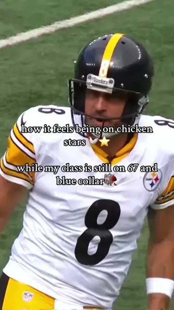how it feels being on chicken stars 🐔⭐️ #steelers #nichememes #chickenstars