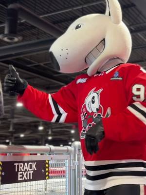 Happy birthday bones, xo the Niagara IceDogs 🥳 #NiagaraIceDogs #OHL #hockeytiktoks #mascot 