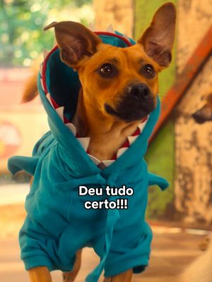Atenção: um tubarão muito perigoso está passando na sua FY. #caramelo #dogs #tiktokmefezassistir #rafaelvitti #netflixbrasil #netflix