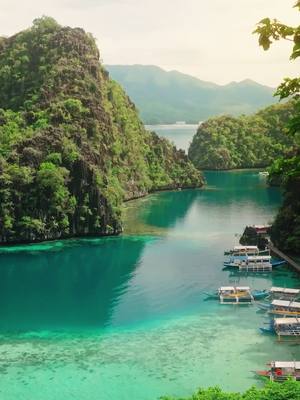 The ultimate ‘travel hack’ you should know! 🏝️🧳 Make all your travels worry-free with DOT-Accredited Tourism Enterprises! ⭐️ Be at ease by our wide range of establishments that are carefully selected and certified just for you! Download the Travel PH app to know more! 🌺🫶 #LoveThePhilippines #DOTPhilippines #BagongPilipinas