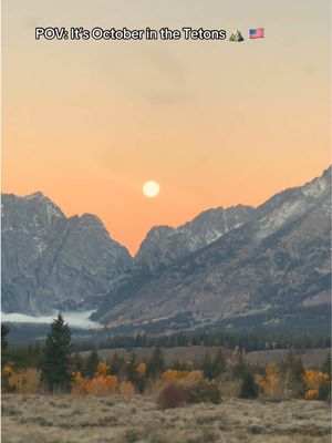October in the Tetons ⛰️🪵🌄🍂🫎 #wyoming #western #tetons 
