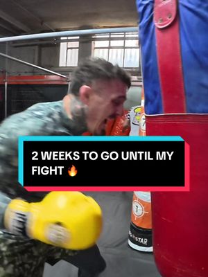 2️⃣ Weeks To Go 👊 #UFC #fyp #viral #asmr #tomaspinall 